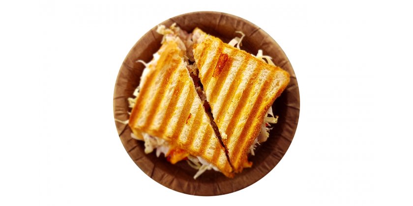 Create Wonderful Toasted Panini Sandwiches