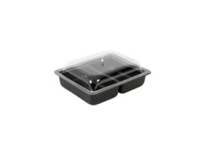 SALADWARE - DELI DISH - 2 DIVISION - 320 x 260 x 60mm