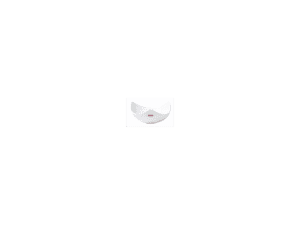 DOMINO PORCELAIN BOWL