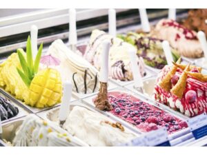 ICE CREAM FREEZER INSERTS