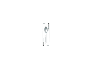 KARL - TABLE SPOON (USE JS-K003)