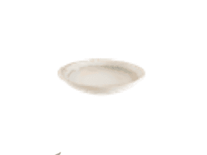 DIP DISH - 9CM