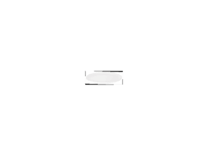 OVAL COUPE PLATE 38cm