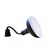 Heating Lamp