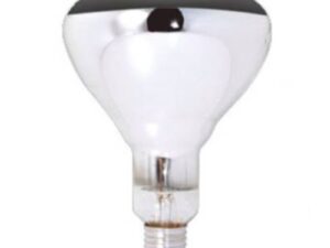 100W GLOBE - SCREW IN (MIRROR BACK)