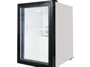 BEVERAGE COOLER - 74LT - HINGED DOOR